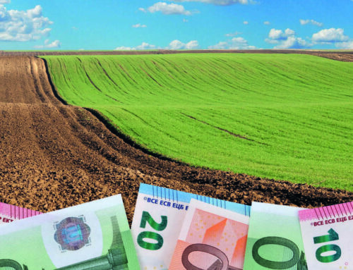 Regione Lazio: Finanziamenti per gli Investimenti Agricoli